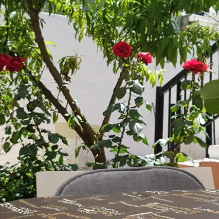 Angelika House 1 Appartamento Marathias